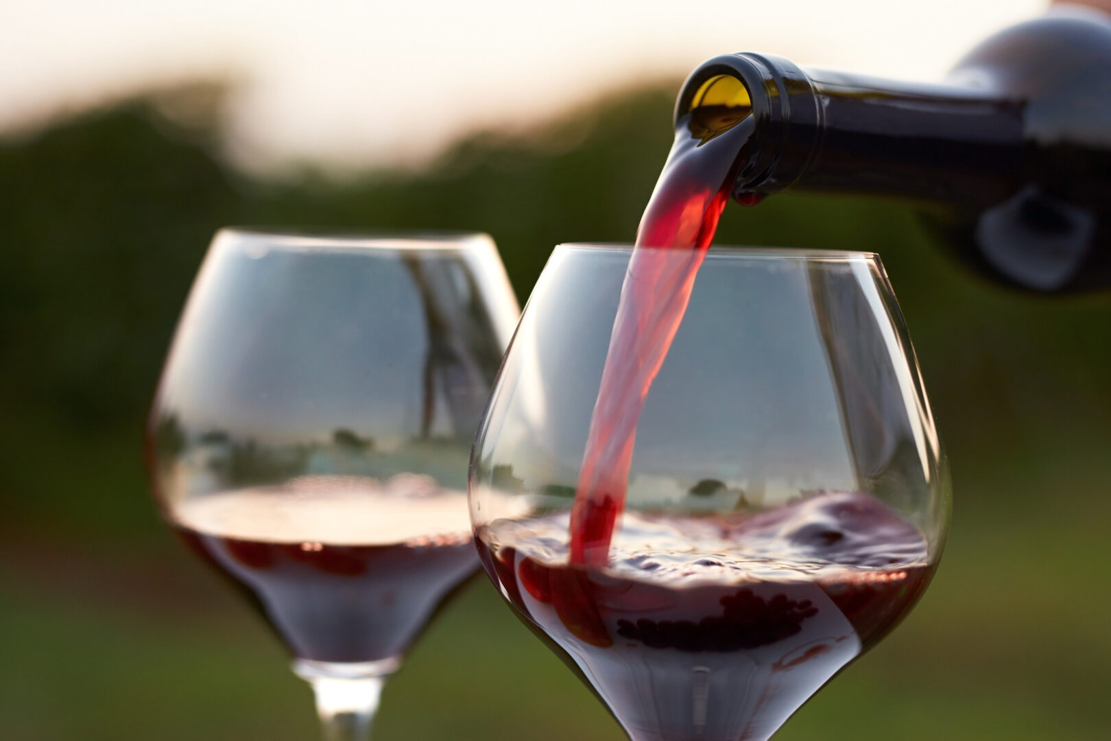 Vinprovning - rött vin från norra Italien - Jungfrusund